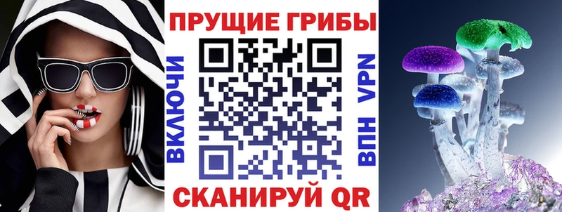Галлюциногенные грибы Psilocybe  Уссурийск 